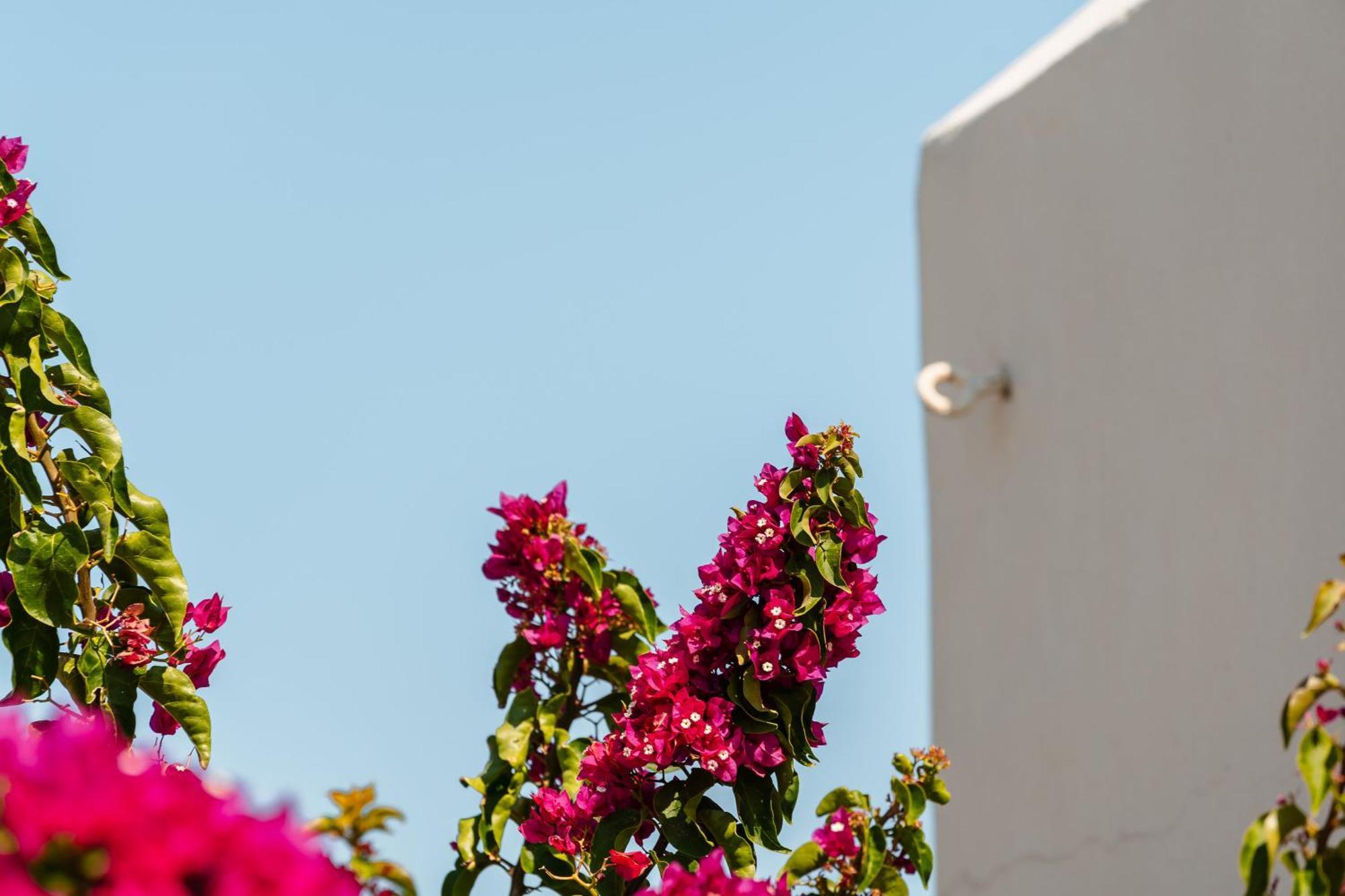 Rosabella Home Naxos City エクステリア 写真